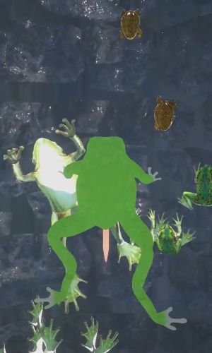 I'm a frog 3