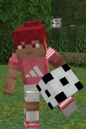 Minecraft Adidas Adventurers 1