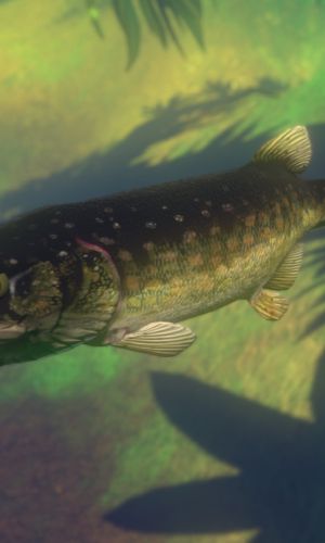 Feed and Grow: Fish 9