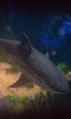 Feed and Grow: Fish 3