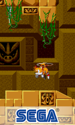 Sonic the Hedgehog™ Classic 2