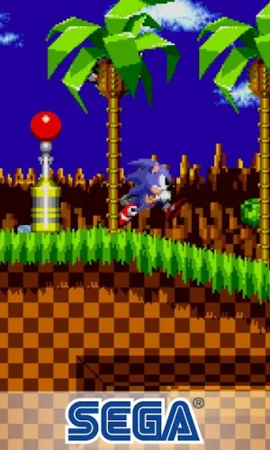 Sonic the Hedgehog™ Classic 5