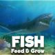 Feed and Grow: Fish